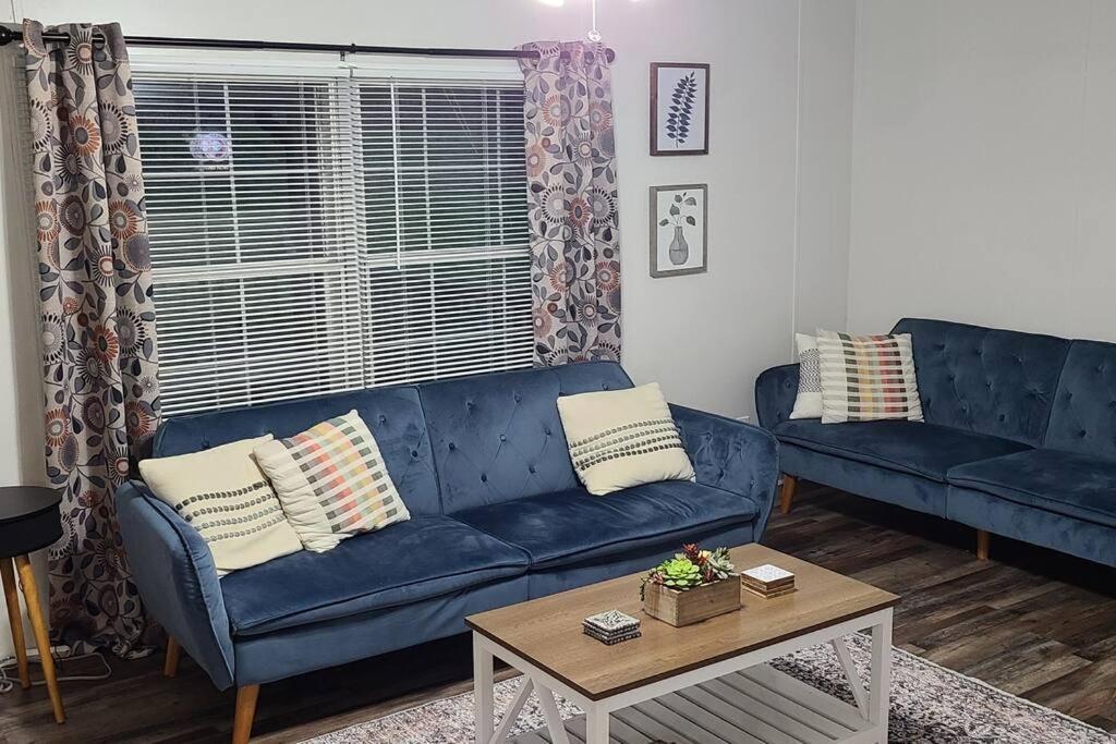 Cozy Cottage With Full View Of The Mountains! ブルーリッジ山脈 エクステリア 写真
