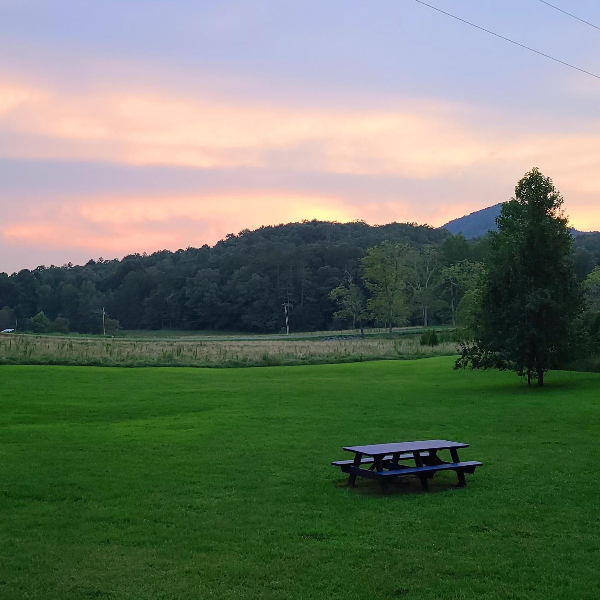 Cozy Cottage With Full View Of The Mountains! ブルーリッジ山脈 エクステリア 写真