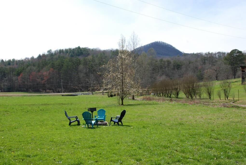 Cozy Cottage With Full View Of The Mountains! ブルーリッジ山脈 エクステリア 写真