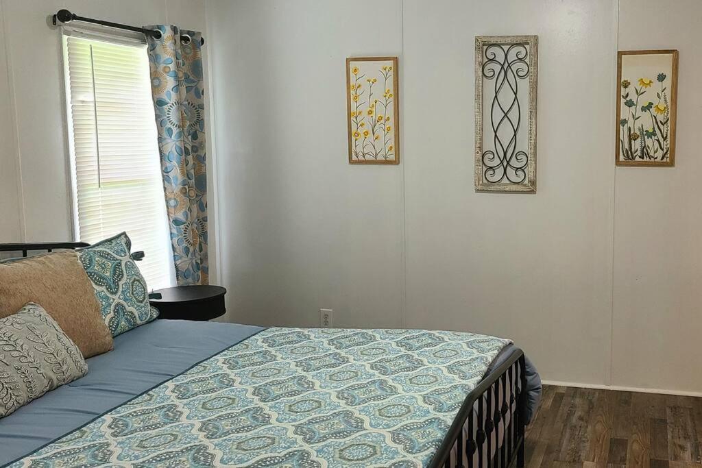Cozy Cottage With Full View Of The Mountains! ブルーリッジ山脈 エクステリア 写真